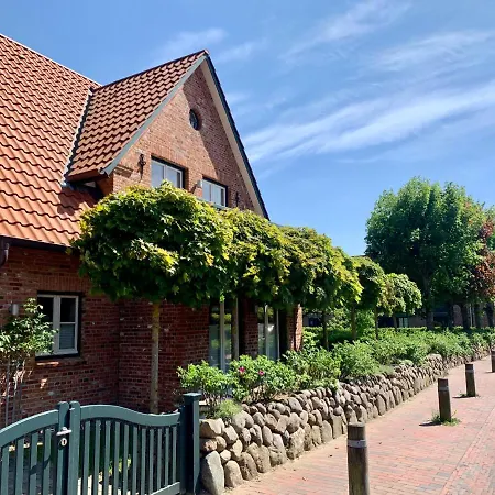 Muschelhaus - 1 Bohl