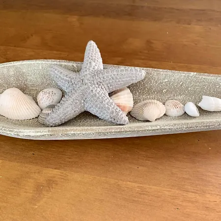 Muschelhaus - 1