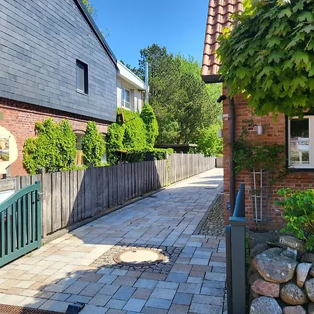 Muschelhaus - 1 * Bohl