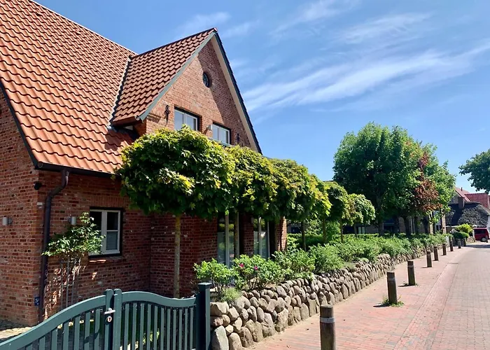 Muschelhaus - 1 Böhl