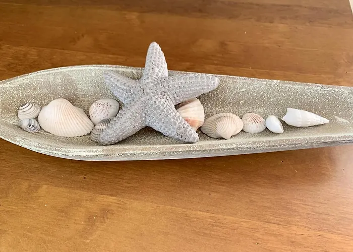 Muschelhaus - 1